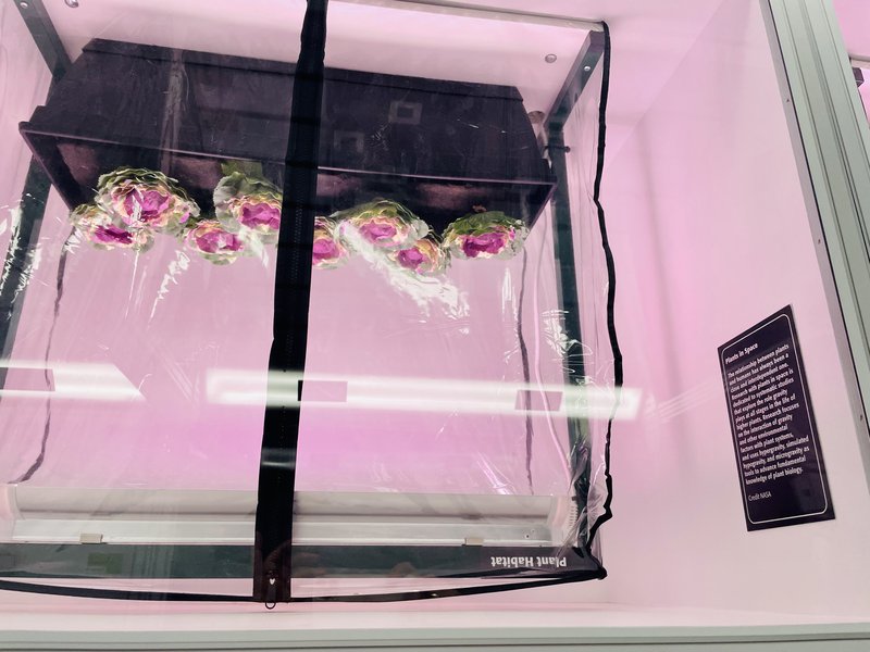 Plants in Space at NASA Kennedy Space Center