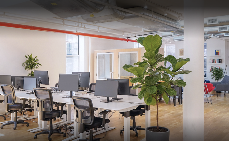 Screen Shot 2022-09-14 at 10.40.47 PM