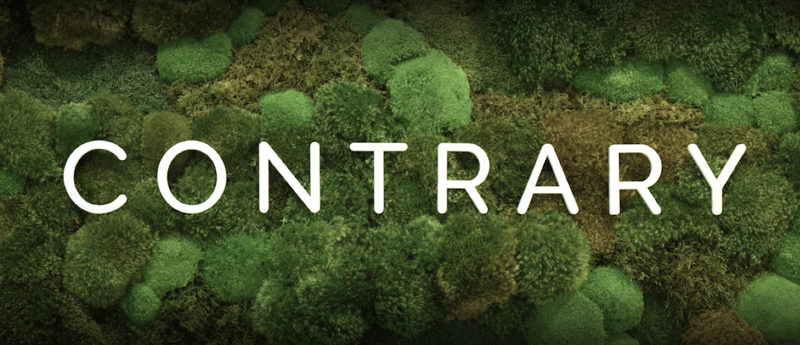 Screen Shot 2022-09-14 at 10.42.15 PM