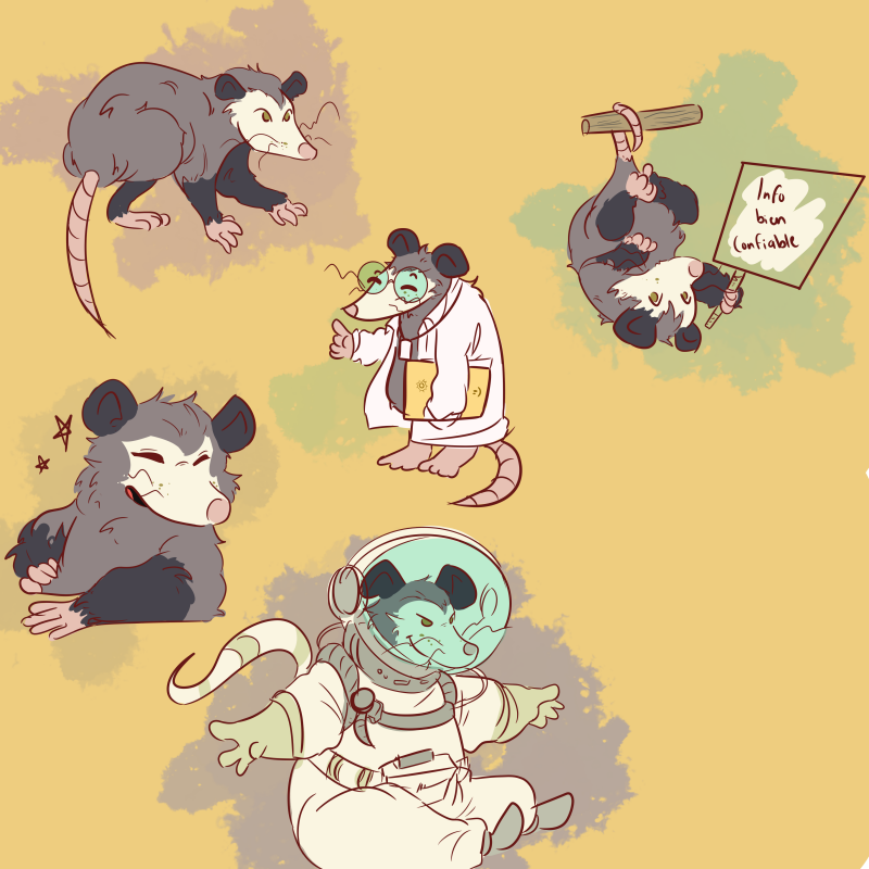 Tlacuachito : Elio, secondary narrator of our comic 