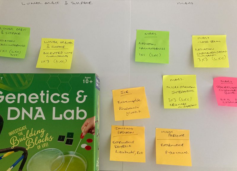 Risks and Astrobiology Mitigation