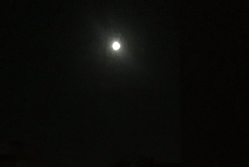 OMG GUYS!THE MOON İS SHİNİNG SO BRİGHT