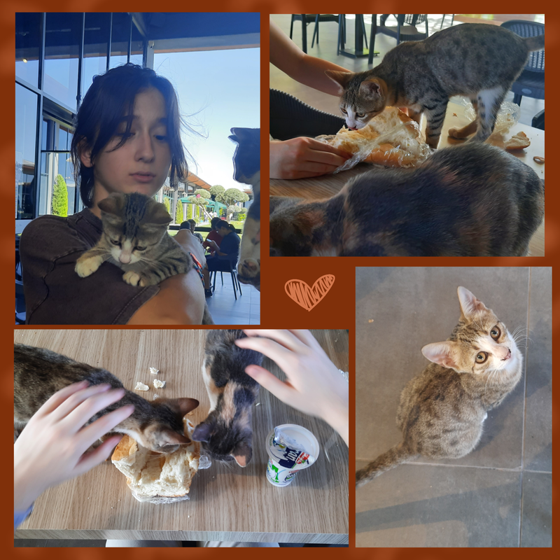 Had our on site team lunch with these cuties <3