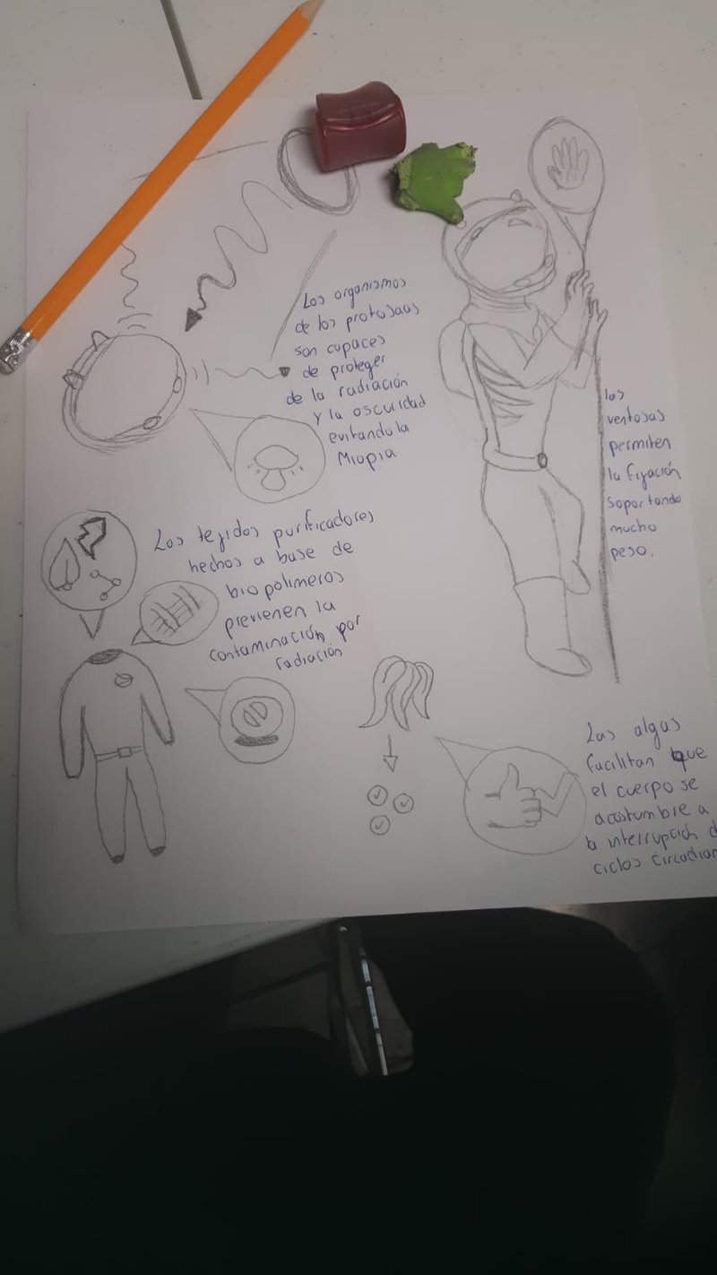 the best erraiser ever