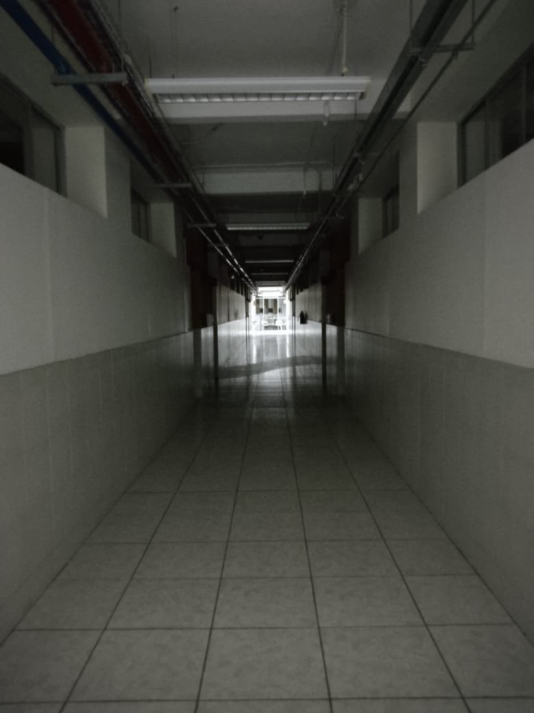 Time for some night exploring, what could go wrong?