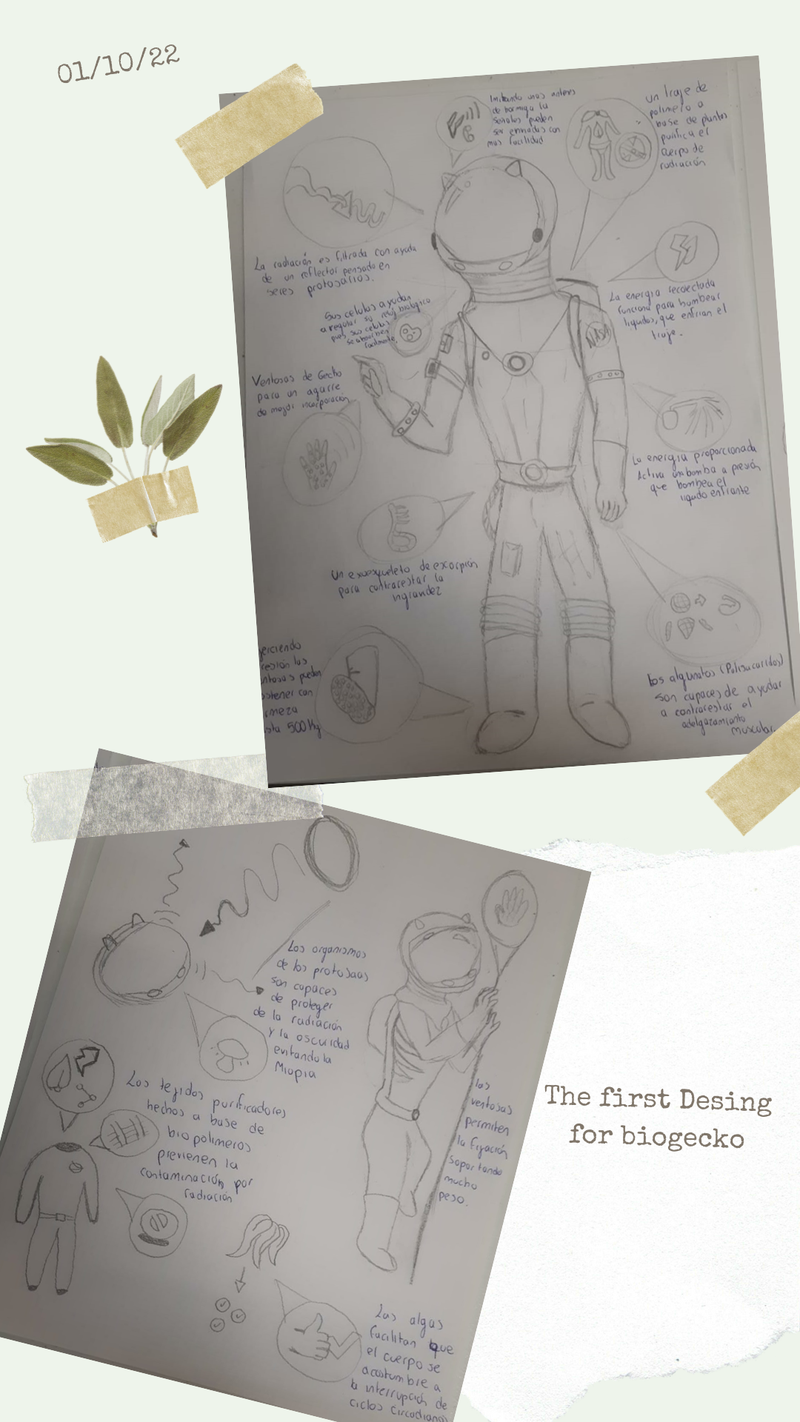 Our new album of memories