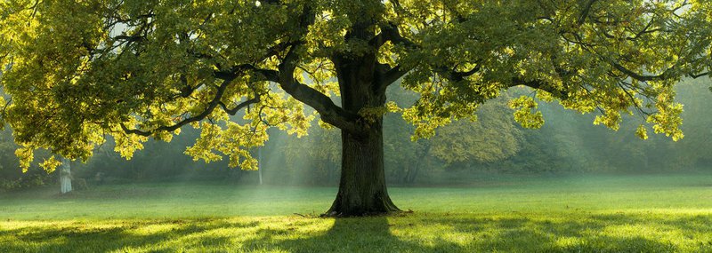 We prevent climate change and prepare our world for the future. Stay tuned