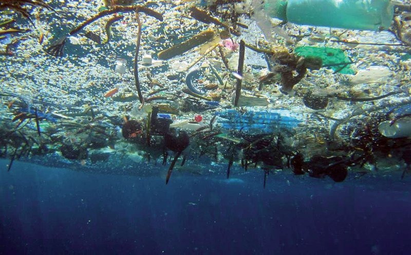 Marine Litter