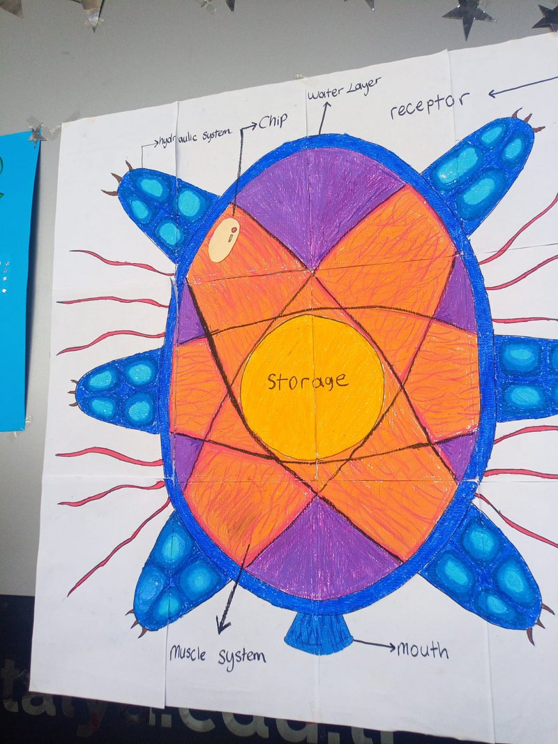 This is the whole look of our upper-grade.