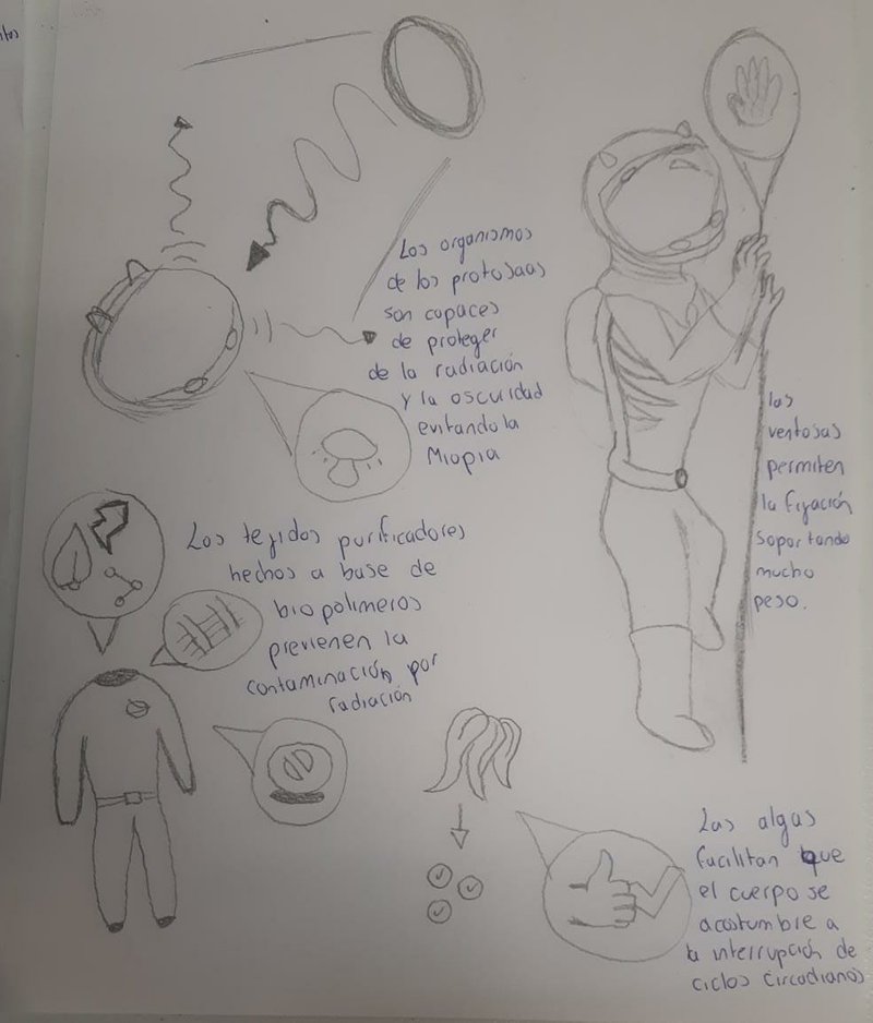 more interesting designs of Biogecko in action