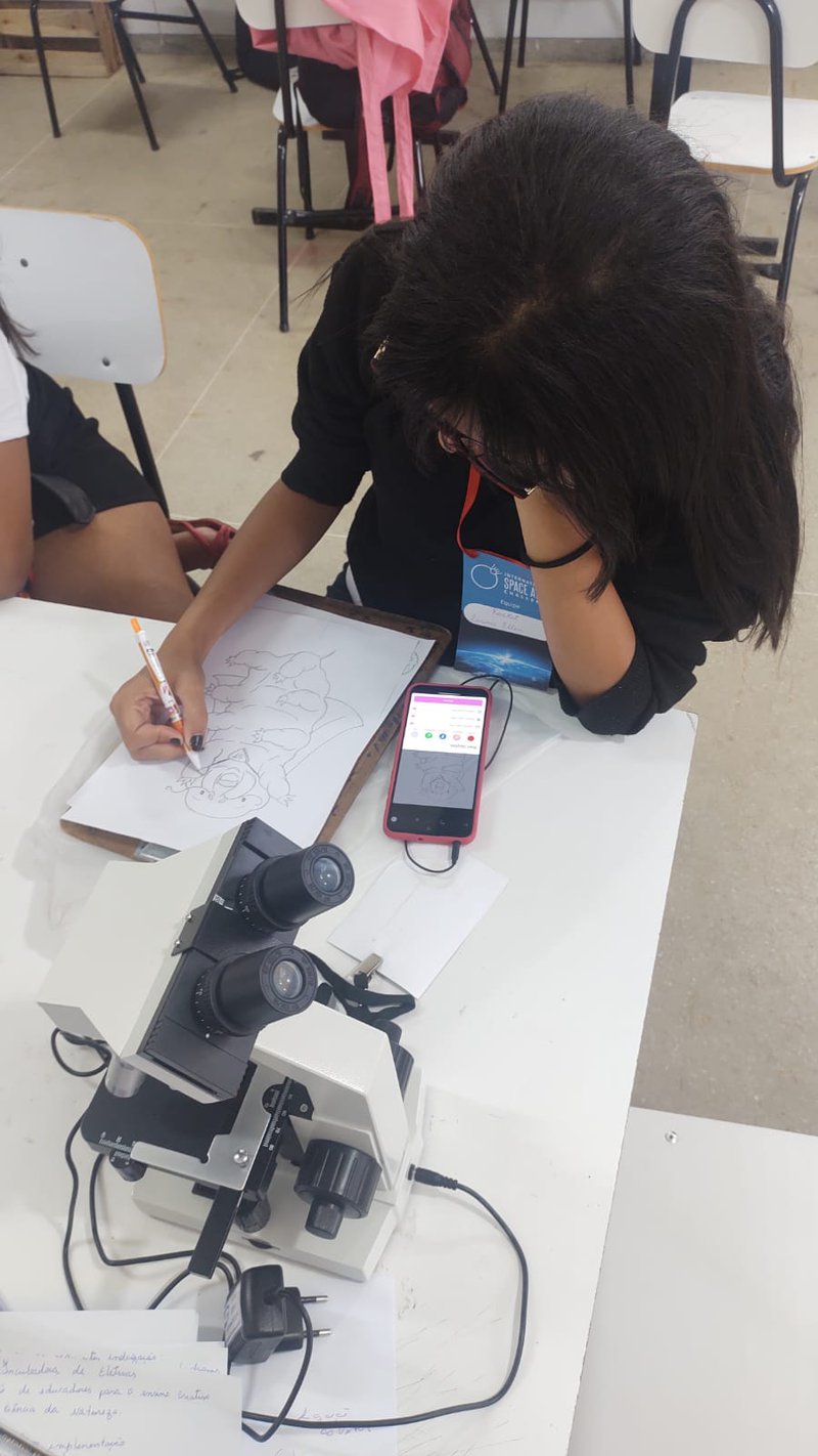 Observando e ilustrando tardígrados